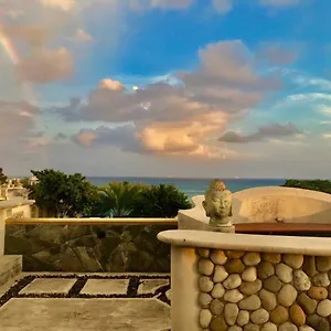 https://hotel-cielo.tulum-hotels.net
